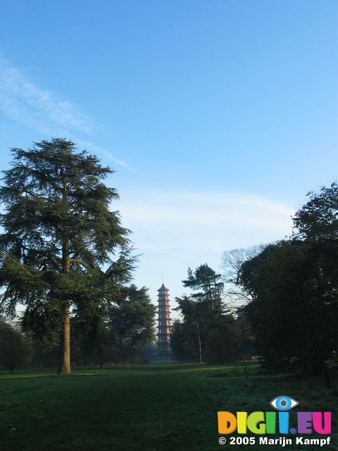 15449 Pagoda